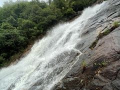 -广州白江湖森林公园