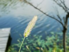 -上海多利农业发展有限公司