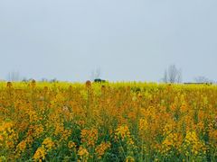 -中国天府农业博览园