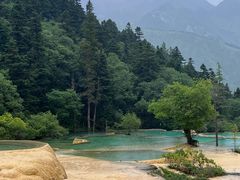 -黄龙山原始森林景区