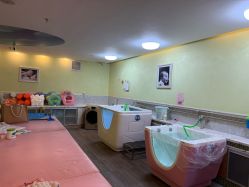 -生命加•Q考拉月子会所(玫瑰园店)