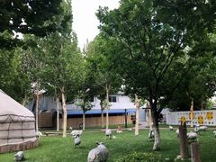 -九十九顶毡房(阜石路店)