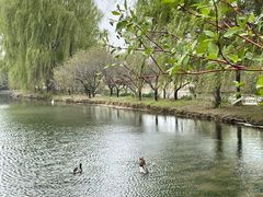 -西安浐灞国家湿地公园