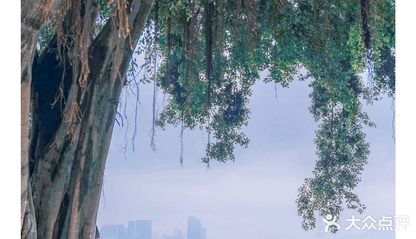 厦门拍照|来海边探-影视剧取景地