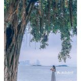 厦门拍照|来海边探-影视剧取景地