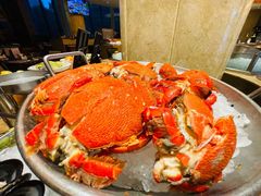 -济南喜来登酒店