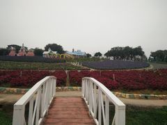 -松山湖梦幻百花洲
