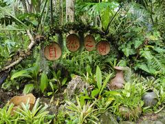 -中国科学院西双版纳热带植物园