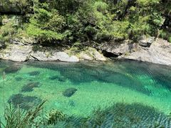 -石台牯牛降景区