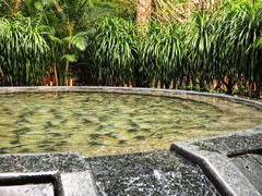 -碧水湾温泉