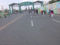 iphone_upload_pic-荷兰花海