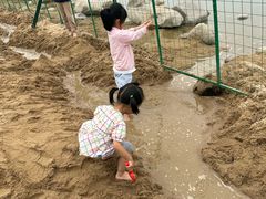 -大兴滨河森林公园