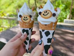 -神户市立六甲山牧场