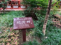 -黄继光纪念馆