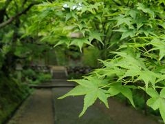 -常寂光寺