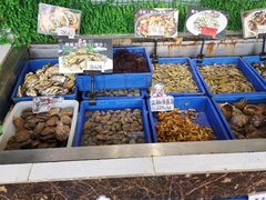 -渡海小渔村.老辈日照菜