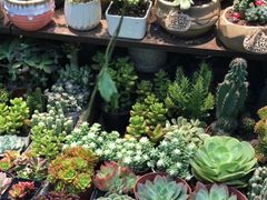 -三旗百汇商品城