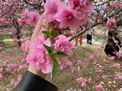 -国家植物园南园