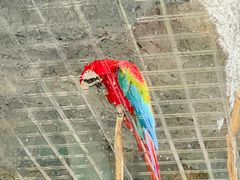 -武汉动物园