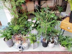 -蝶舍·MAISON PAPILLON