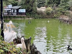 -云南野生动物园