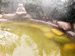 -天目湖涵田半山温泉