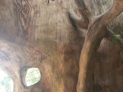 熊出没-厦门方特梦幻王国