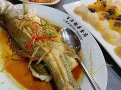 -百年银屏蚝烙·潮汕菜·非遗(乐山店)