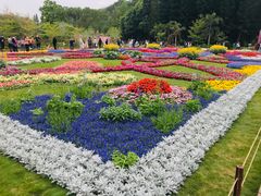-深圳仙湖植物园