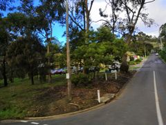 -Dooley's Premium Ice Cream