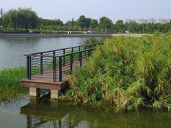 -郑东新区龙湖公共艺术中心