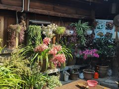 -龙姐私房菜(和顺古镇店)