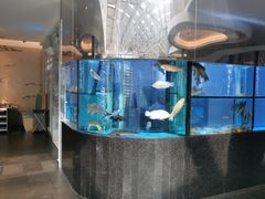 -王家渡火锅店(棕榈泉店)