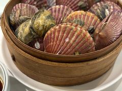 秘制清蒸扇贝-山海菜馆·海肠捞饭·青岛菜(栈桥店)