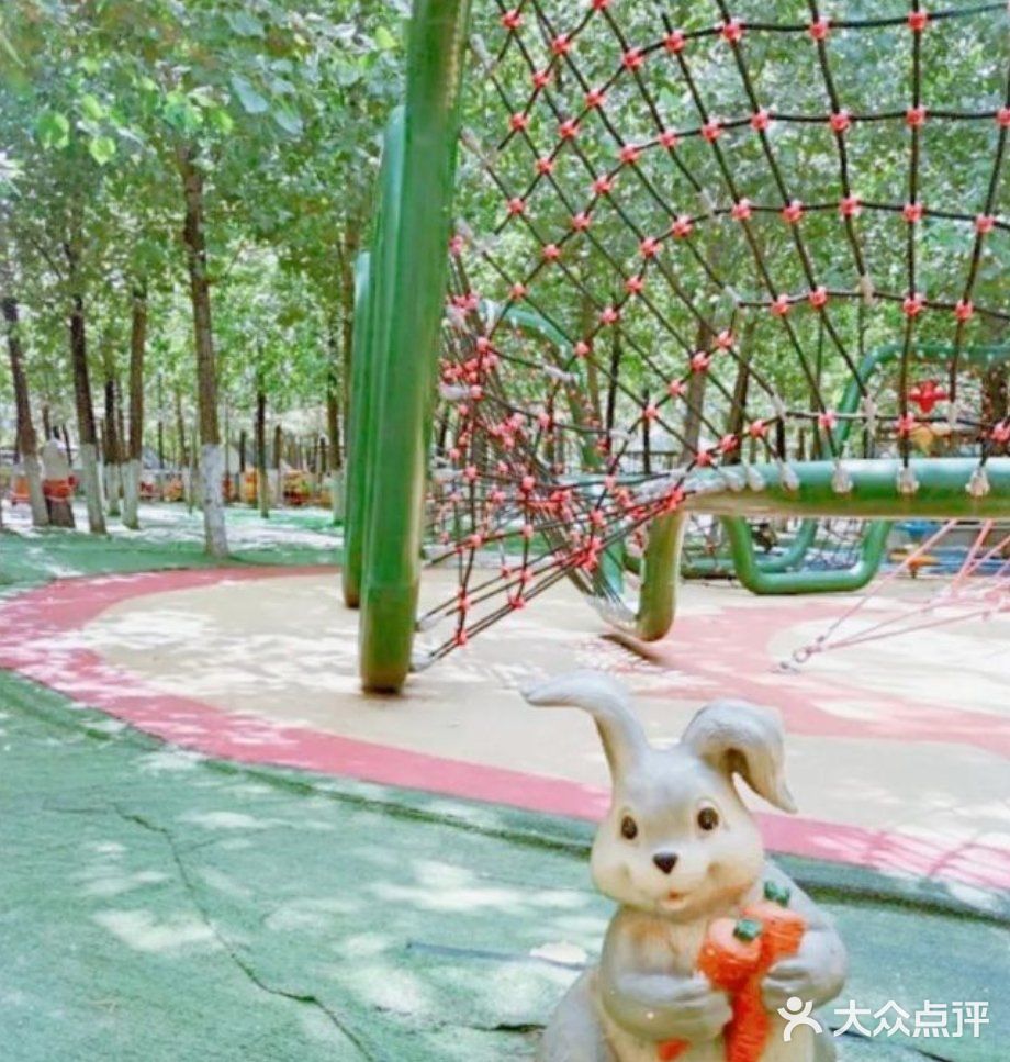 夏天带娃，有动物看还能玩耍[礼花]