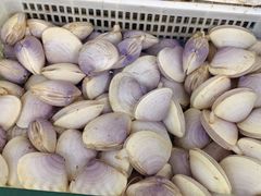 -江杨农产品批发市场