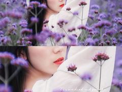 -紫颐香薰山谷景区