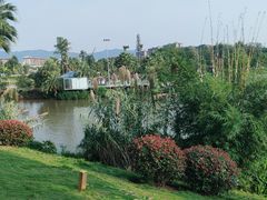 -枫香湖儿童公园