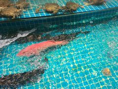 -新阿布海鲜大酒店