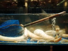 -健眺小海鲜(临海后山店)