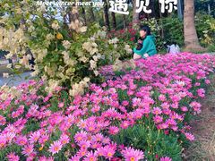 -四海公园(南山区)