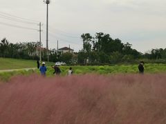 -映月湖中央公园