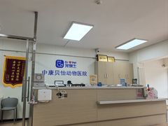 -宠颐生中康贝怡动物医院