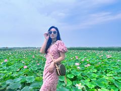 -怀远市场(文萃北街店)