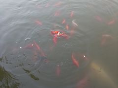 -蓝地时尚庄园(北京清河营地铁站店)