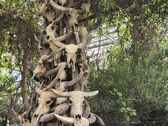 -呀路古热带植物园