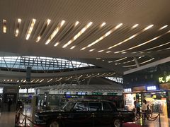 -小杨生煎(萧山机场店)