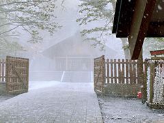-北海道神宫