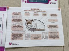 -美联众合爱康动物医院•复杂内科•肿瘤科•牙科•腔镜诊疗中心