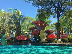 -苏州乐园森林水世界